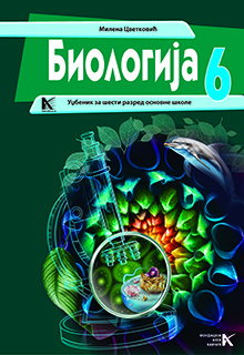 Музичка култура 6
